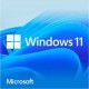 Microsoft Windows 11 Home 64Bit, DSP/SB
